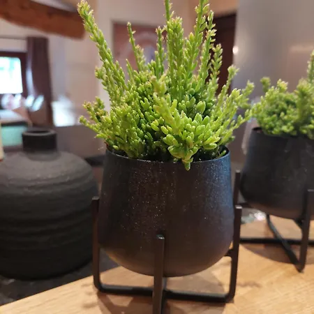 Aignerhof Διαμέρισμα *