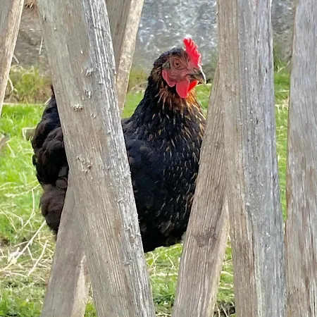 Aignerhof * Φλαχάου