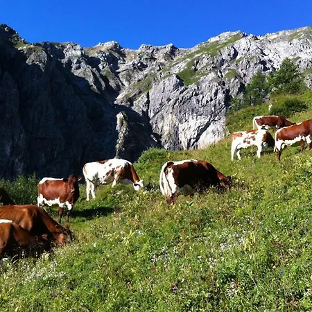 Διαμέρισμα Aignerhof Φλαχάου