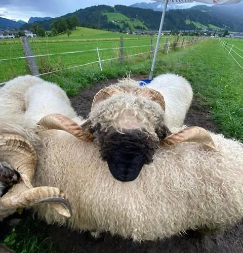 Aignerhof Appartement *