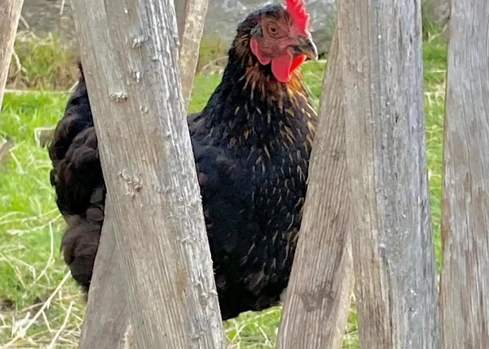 Aignerhof * 弗拉绍