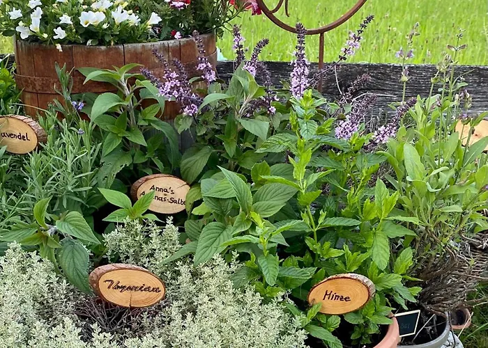 公寓 Aignerhof 弗拉绍