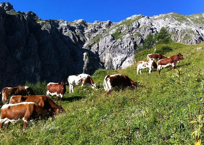 公寓 Aignerhof 弗拉绍